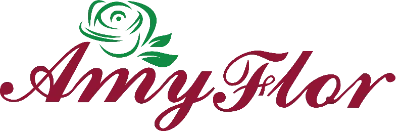 Logo de AMY FLOR SRL